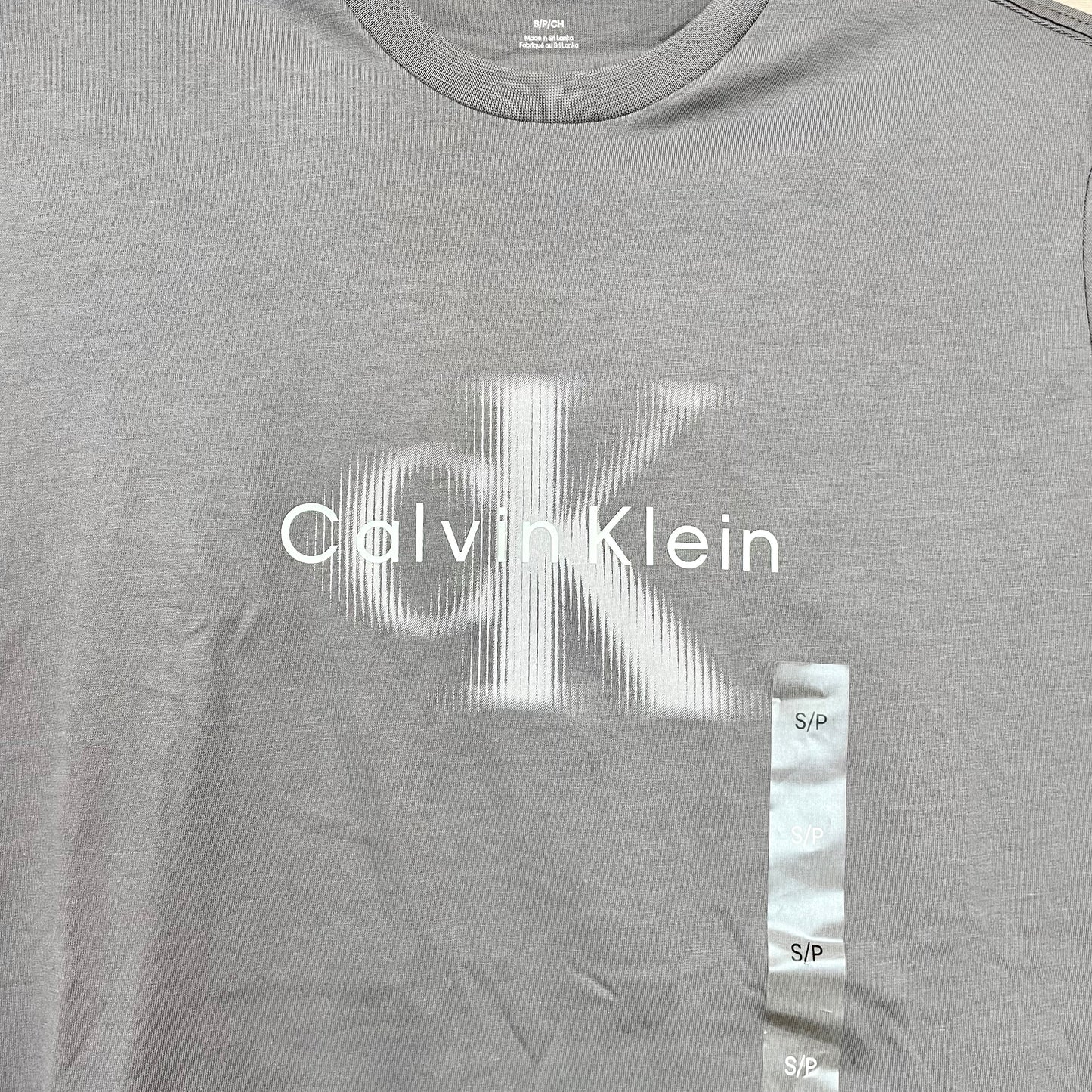 Calvin Klein カルバンクライン Tシャツ L カットソー 半袖 プリント ロゴ グレー メンズ レディース コットン